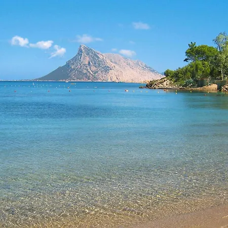 La Tartaruga Monte Petruso San Teodoro Appartamento San Teodoro (Sardinia)